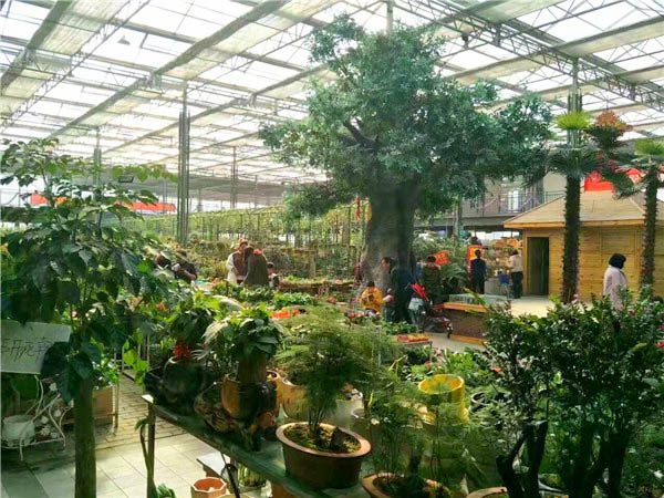 5e6af71398ce8.jpg 5d145ad15ef9b.jpg